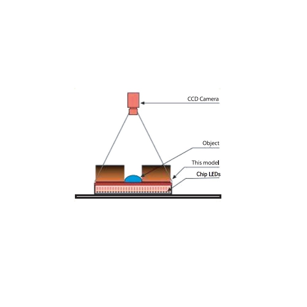 schematic illustration